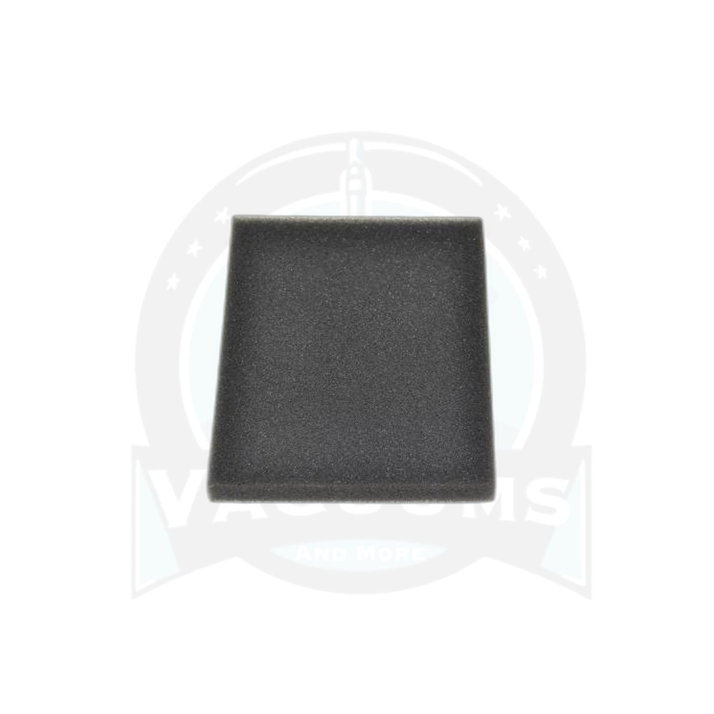 Bissell Secondary Filter - 5770 Healthy Home - Bissell