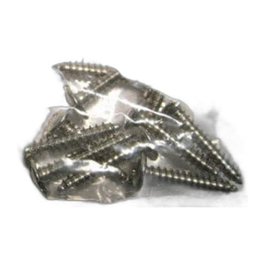 SEBO Screw F 3.9 x 21 (DIN 968) for ET-1 and ET-2 Power Heads, FELIX and DART — 10 Pack