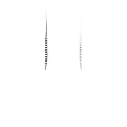 SEBO Screw STS 4 x 16 (T20 Torx) for X7, X8, FELIX, DART, SOFTCASE, 300/350 and DISCO