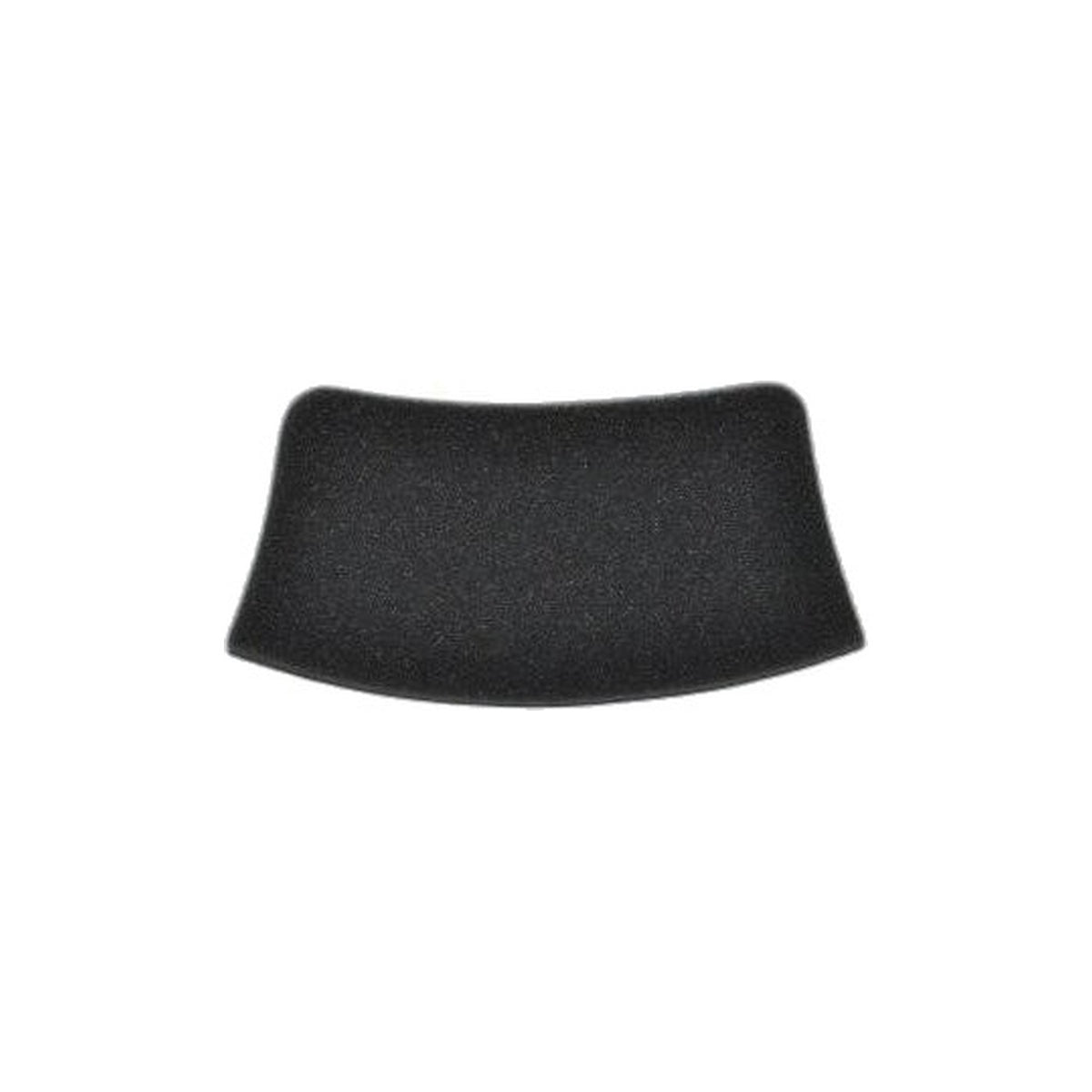 Bissell Canister Post-Motor Filter