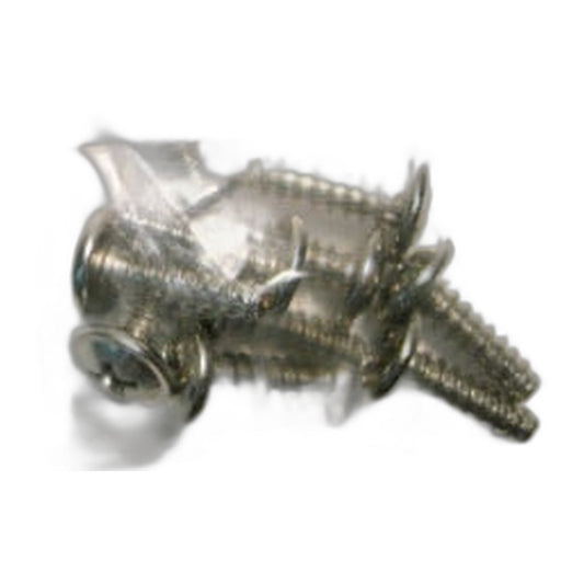 SEBO Screw F 3.9 x 13 (DIN 968) for ET-1/ET-2 Power Heads and CE12 SOFTCASE — 10 Pack
