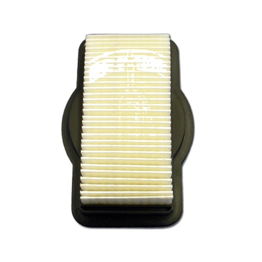 Royal F19 Replacement Filter for Royal & Dirt Devil Vacuums