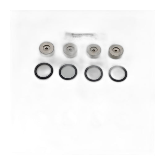 Powr-Flite Valve Kit for 750 PSI Extractor Pump