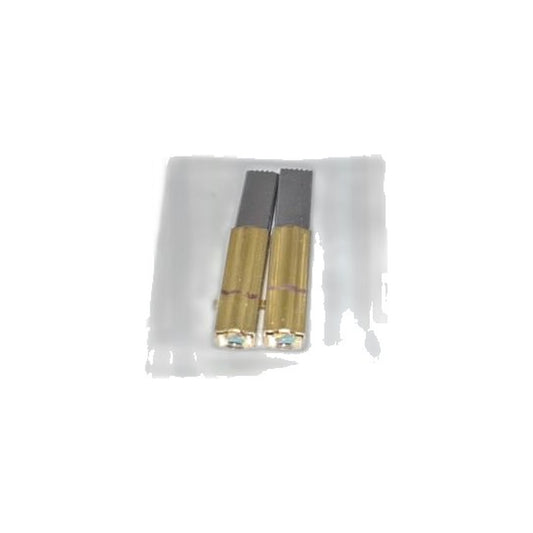 Electrolux Diamond & Plastic Models Motor Carbon Brush, 2-Pack
