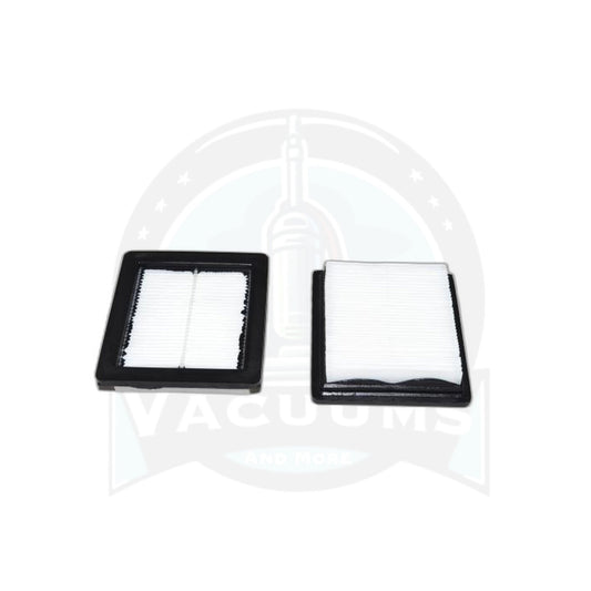 ProTeam HEPA Filter - 2 Pack, Gofit Back Pack - ProTeam