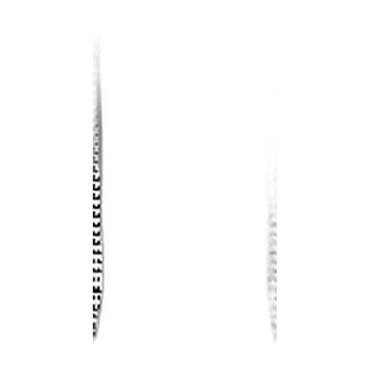 SEBO Screw C 2.9 x 9.5 (DIN 7981) for AUTOMATIC X1, X2, X4, X4 Boost and X5 — 10 Pack